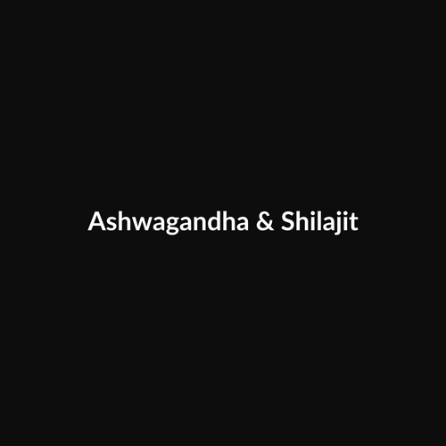 Ashwagandha & Shilajit Capsules - placeholder
